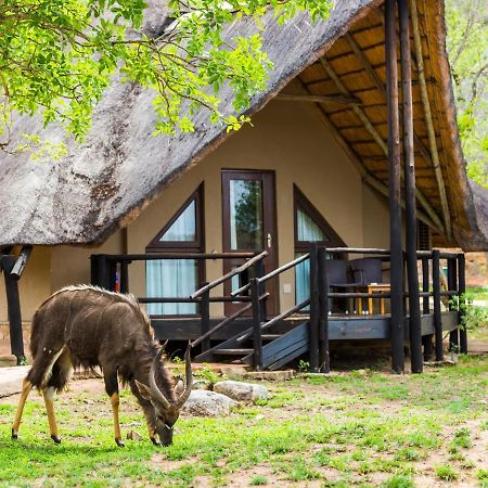 Aha Bongani Mountain Lodge Luphisi Esterno foto