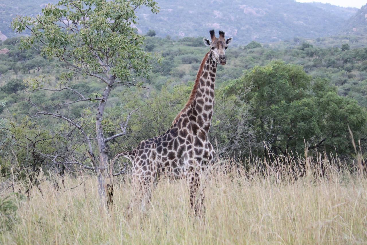 Aha Bongani Mountain Lodge Luphisi Esterno foto