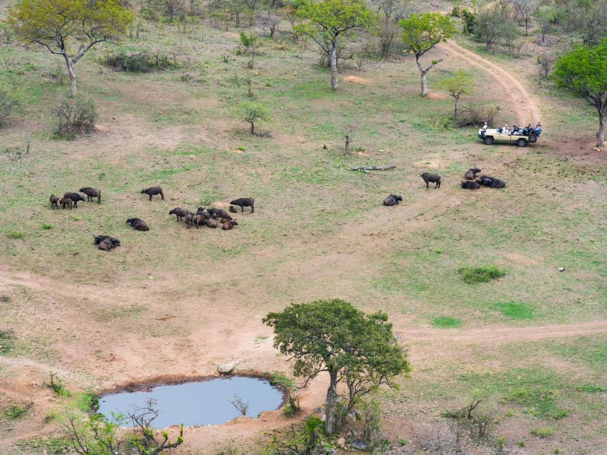 Aha Bongani Mountain Lodge Luphisi Esterno foto