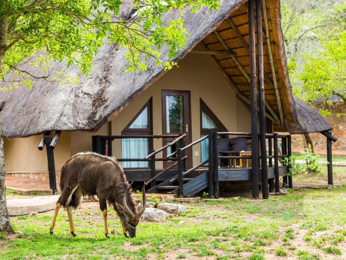 Aha Bongani Mountain Lodge Luphisi Esterno foto